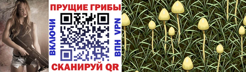 где найти наркотики  Бежецк  Галлюциногенные грибы ЛСД 