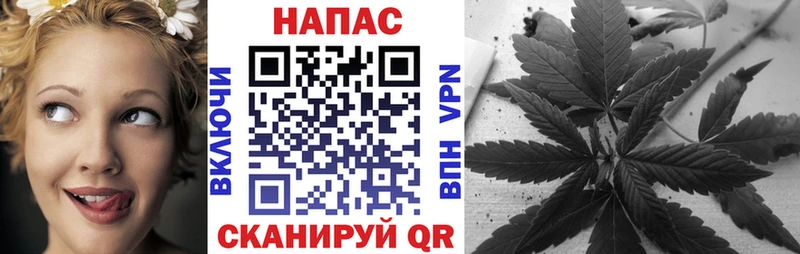 Конопля ГИДРОПОН  магазин  наркотиков  Бежецк 